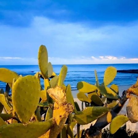 Appartamento Lido San Giovanni Gallipoli Dış mekan fotoğraf